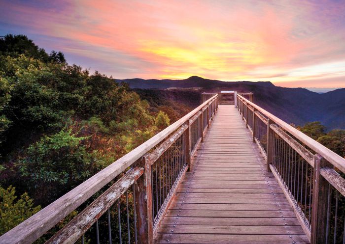 Skywalk lookout - Dorrigo National Park - Coffs Harbour 